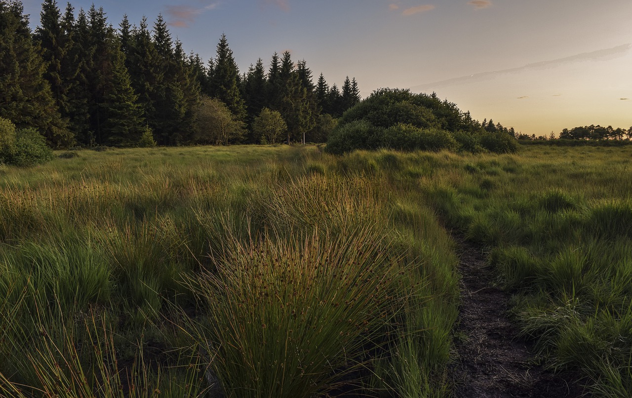 2020 DIVR séminaire belgique hautes fagnes nature