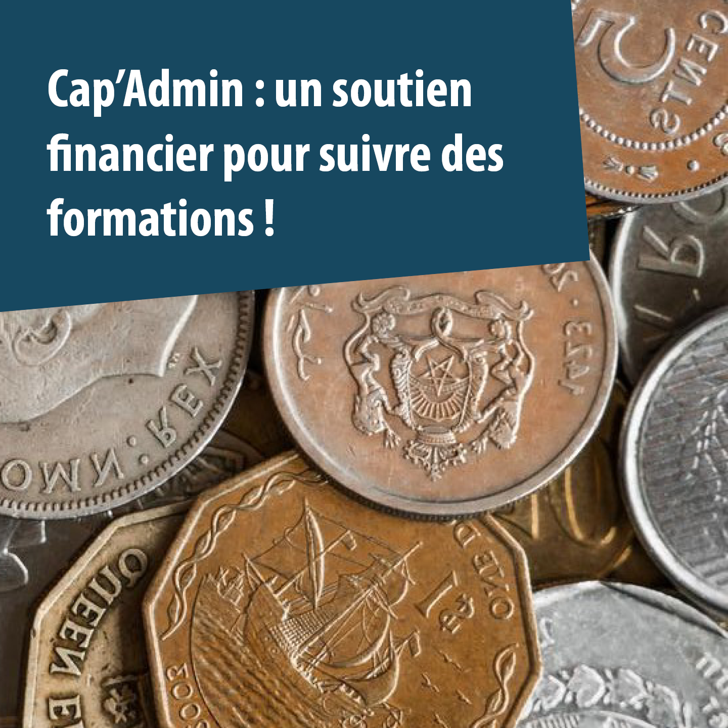 Cap'Admin: cap sur la formation des volontaires de gestion!