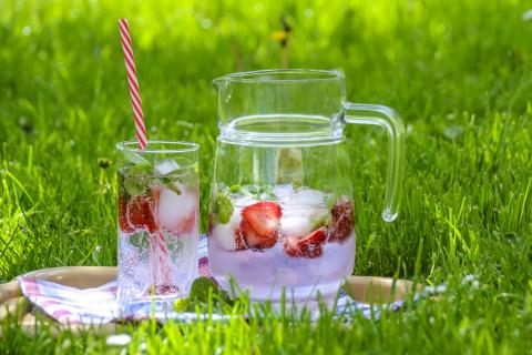 2021 SOC sémin'air programme herbe boisson bulles fraise caraf