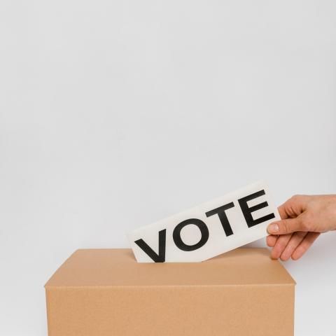 vote_urne_elections_2024