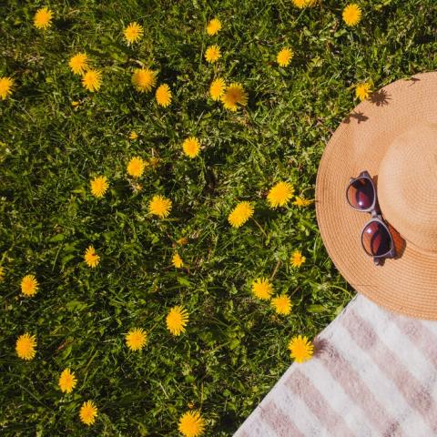 fermeture été fleurs lunette soleil