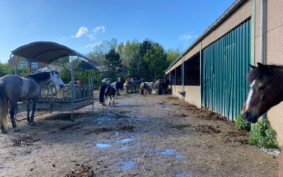 Ferme Equestre de Louvain-la-Neuve