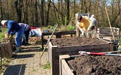 Les premiers semis au potager