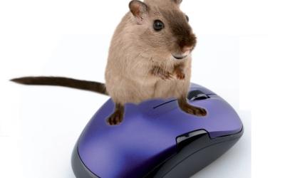 Assistants Numériques: La Souris qui vous sourit