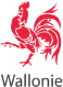 Wallonie Logo